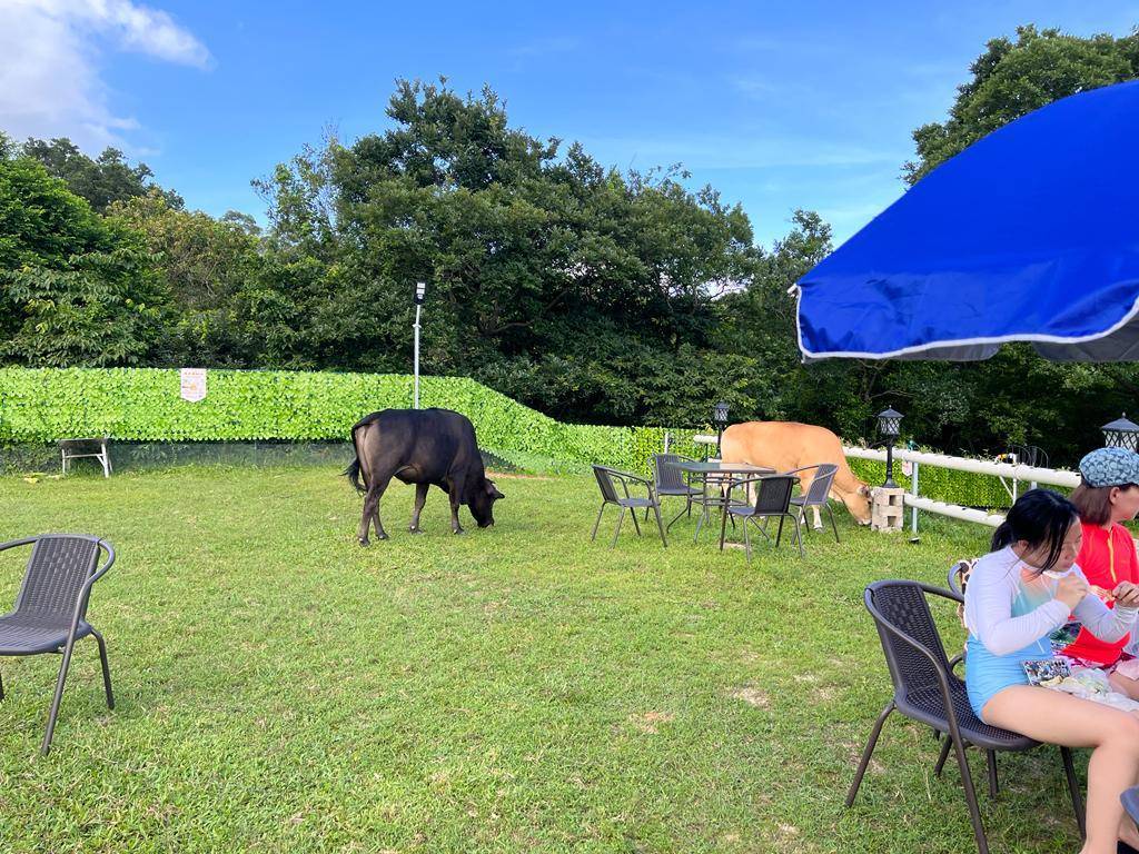 【長沙下村】田野/沙灘日間二人套餐燒烤樂