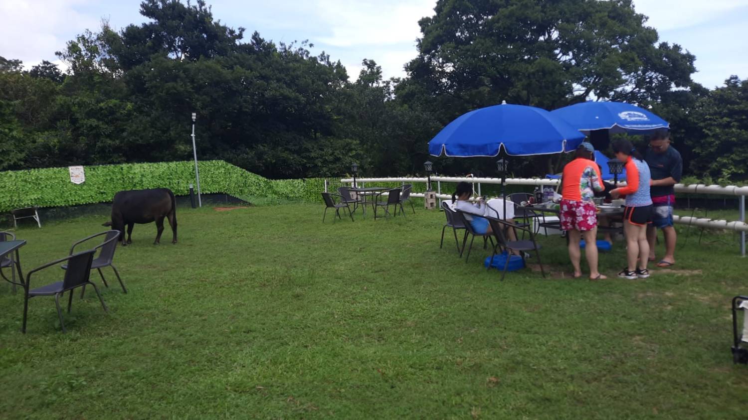 Field Beach BBQ for Four
